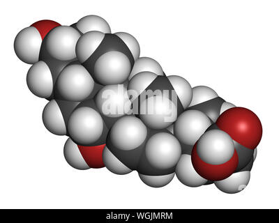 Chenodeoxycholic acid drug molecule. 3D rendering. Atoms are represented as spheres with conventional color coding: hydrogen (white), carbon (grey), o Stock Photo