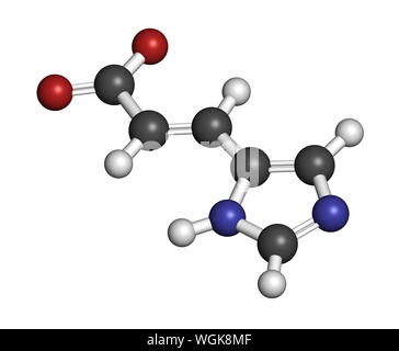 Urocanic acid molecule. Breakdown product of histidine. 3D rendering. Atoms are represented as spheres with conventional color coding: hydrogen (white Stock Photo