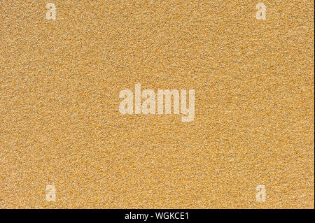 Seamless Beach Sand Surface Texture. Stock Photo