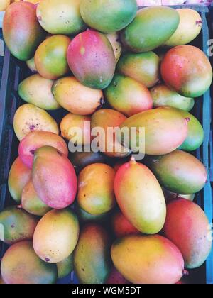 High Angle View Of Mangoes In Crate
