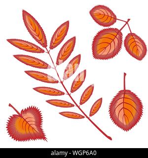 Four different autumn orange or red leaves - rowan, maple, birch, aspen - on a white background. Pattern, seamless texture on the theme - golden autumn has come. Falling leaves. Stock Vector