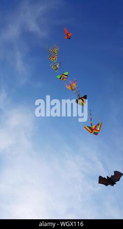 Low Angle View Of Kites Flying Against Sky