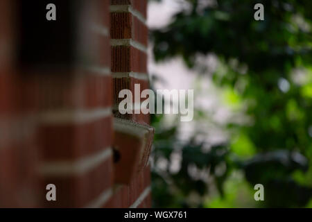 Red brick wall and window sill against a dreary grey background with vibrant green bushes Stock Photo