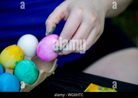 Woman placing a pink dyed Easter egg back in the carton with eggs dyed yellow, green and blue Stock Photo