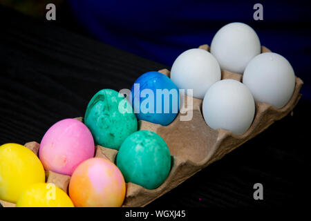 Carton of plastic Easter eggs with one egg missing, eggs dyed yellow, pink, orange, green, and blue as well as uncolored eggs Stock Photo