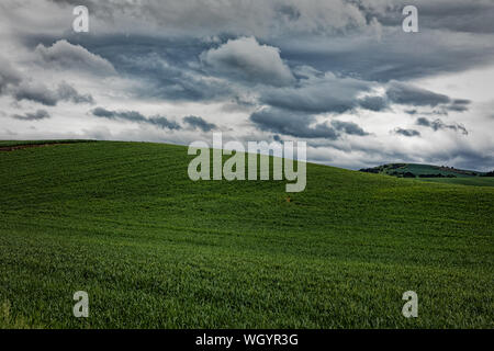 Beautiful clouds over wheat covered hills in the Palouse region of Washington Stock Photo