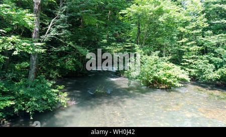 Oirase Stream in sunny day, beautiful nature scene in summer. Flowing river, green leaves, mossy rocks in Towada Hachimantai National Park, Aomori Stock Photo