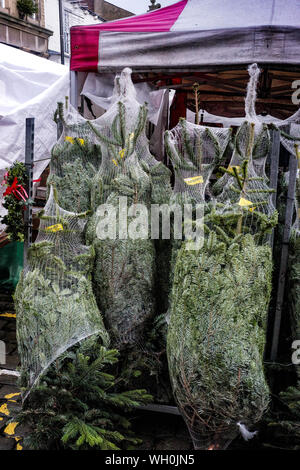 Close-up Of Christmas Tree For Sale In Market