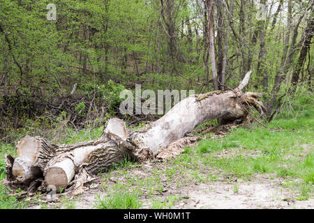 Seven Mile Creek County Park, Minnesota Stock Photo