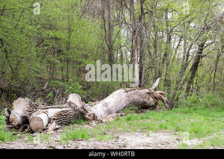 Seven Mile Creek County Park, Minnesota Stock Photo