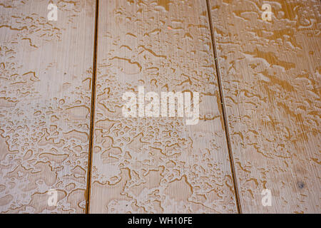 Raindrops on the plywood boards Brown Stock Photo