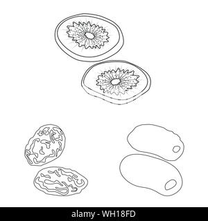 Vector illustration of food  and raw  icon. Collection of food  and nature  vector icon for stock. Stock Vector