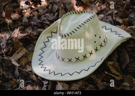 Country (cowboy) hat on the ground (a fallen leaves) Stock Photo