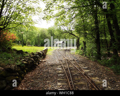 Railroad Tracks By Trees On Field