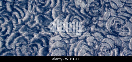 Blue floral background with abstract roses texture pattern. Stock Photo