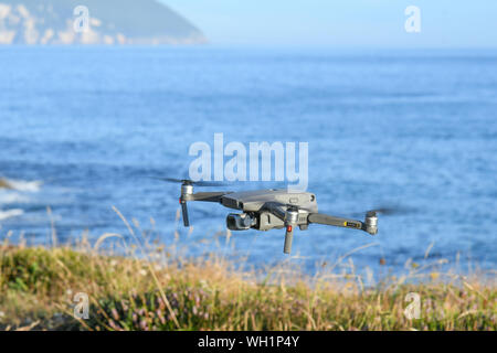 Close-up of a drone flying over the vegetation near the sea Stock Photo