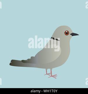 Eurasian collared dove illustration on a blue background Stock Vector