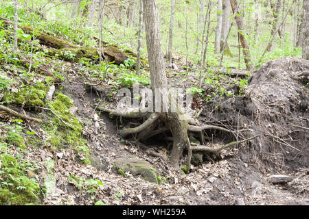 Seven Mile Creek County Park, Minnesota Stock Photo