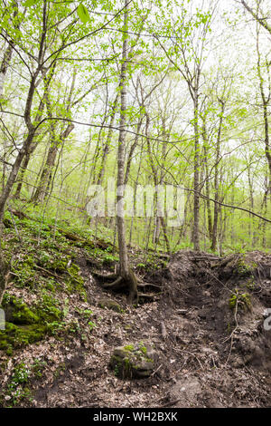 Seven Mile Creek County Park, Minnesota Stock Photo