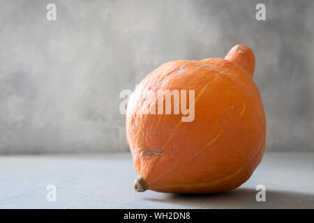 Ugly one organic pumpkin. Space for text. Concept organic natural vegetables. Stock Photo