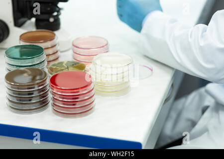 Focused photo on male hands that working with analysis Stock Photo