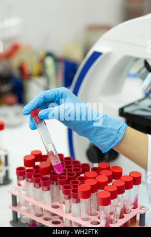 Close up of competent scientist that checking analysis Stock Photo