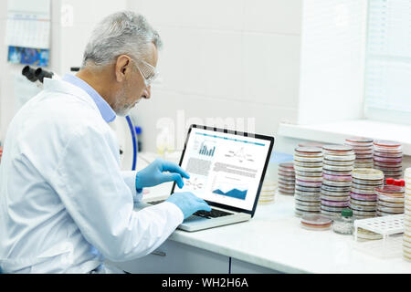 Serious mature scientist typing article on his laptop Stock Photo