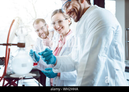 Scientists working as a team in the laboratory Stock Photo