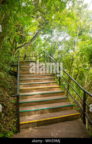 Yanoda rain forest in park next to Sanya, Hainan, China Stock Photo