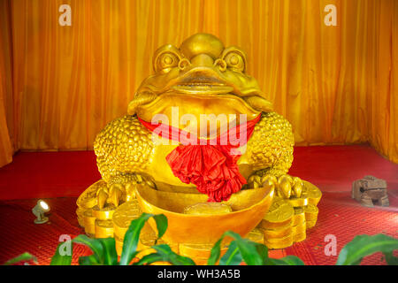 Feng Shui frog sitting on money and old china coins in Yanoda rain forest in park next to Sanya, Hainan, China Stock Photo