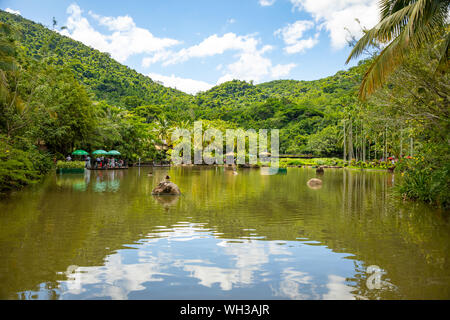 Yanoda rain forest in park next to Sanya, Hainan, China Stock Photo