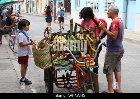 CAMAGUEY, CUBA - FEBRUARY 18, 2011: Fruit and vegetable seller in Camaguey, Cuba. Local markets are popular in Cuba even in large cities due to genera Stock Photo