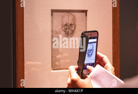 Visitor taking a photo of one of Leonardo Da Vinci's amazing drawings in London which marks the 500th anniversary of the death of Leonardo da Vinci. Stock Photo