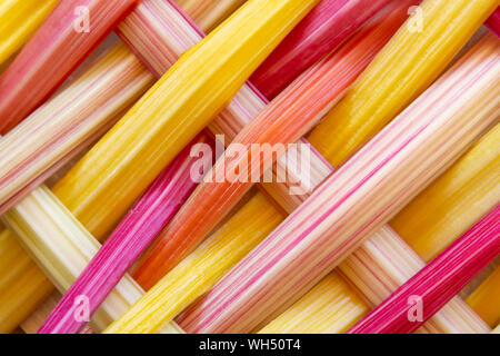 Background with closeup of colorful rainbow chard stems Stock Photo