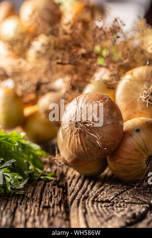 Bundle of freely lying dried onion with parsley herbs and dill on a wooden table Stock Photo