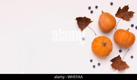 Autumn orange pumpkins with dead leaves on white Stock Photo