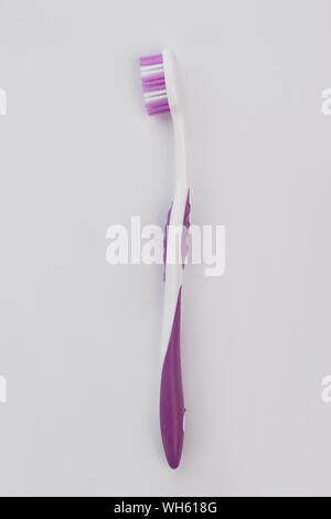 Purple tooth brush isolated on white background. Stock Photo