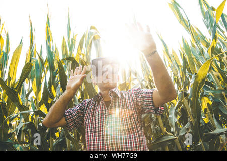 modern farmer businessman analyzing the growth trend of the products of his land with virtual viewer . concept of sustainable exploitation of natural Stock Photo