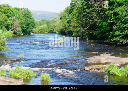 On a bright, hazy, summer day in Llangollen the River Dee flows fast over rocks creating small rapids. Stock Photo