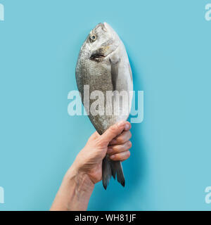 Female hand with dorado fish tail on blue paper as color of sea. Concept capture, hook fish. Stock Photo