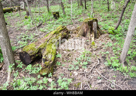 Seven Mile Creek County Park, Minnesota Stock Photo