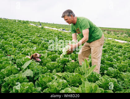 Guy Singh-Watson, farmer and founder of Riverford with his dog Artichoke. Stock Photo