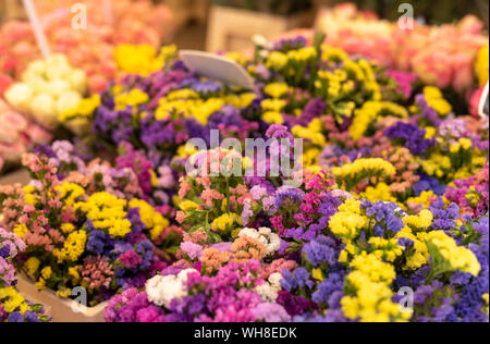 Colorful Flower Market in Aix-en-Provence France Stock Photo