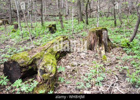 Seven Mile Creek County Park, Minnesota Stock Photo