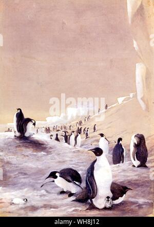 Emperor penguins (Aptenodytes Forsteri), by Edward Wilson (1872-1912). From Antarctica: The Last Continent by Ian Cameron, page 166. Stock Photo