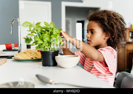 Girl plucking basil leaves in kitchen Stock Photo