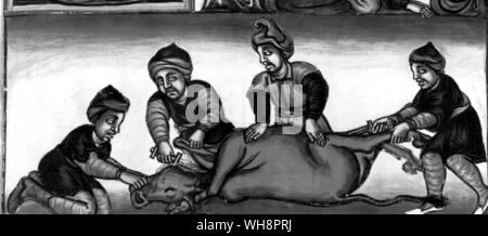 Ethiopians killing a cow.  From an eithteenth-century Ethiopian manuscript Stock Photo