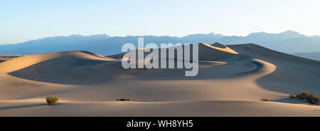 Mesquite flat sand dunes in Death Valley National Park, California, United States of America, North America Stock Photo