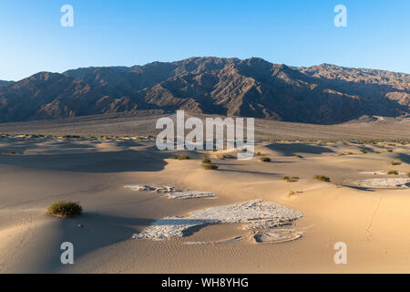 Mesquite flat sand dunes in Death Valley National Park, California, United States of America, North America Stock Photo