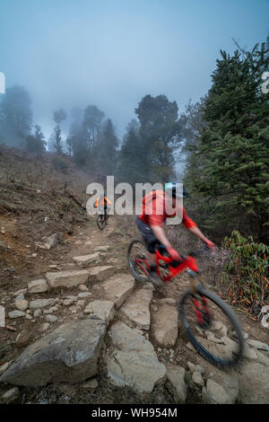 Mountain bikes descend through a misty forest in the Gosainkund region in the Himalayas, Langtang region, Nepal, Asia Stock Photo